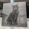 Anodized Aluminum Laser Engraved Images